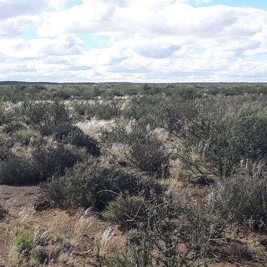 0 Bedroom Property for Sale in Brandvlei Northern Cape